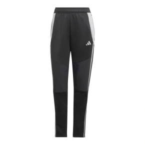 Nohavice adidas Tiro 24 Winter W IX7887 women