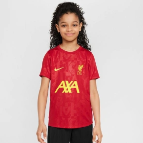 Tričko Nike Liverpool FC Academy Pro SS Top Jr FQ0013-688