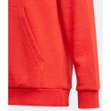 Detská mikina Essentials Big Logo Hoodie Jr GN4037 - Adidas