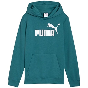 Puma ESS No.1 Logo Hoodie green 684909 41