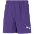 Detské šortky TeamRise Jr 704943 10 - Puma