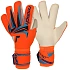 Reusch Attrakt Gold X Evolution World Cup 56 70 064 2290