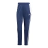 Nohavice adidas Tiro 24 Winter W IY0126