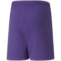 Detské šortky TeamRise Jr 704943 10 - Puma