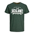 Pánske tričko Jack&Jones 12238252 ležérne tričko
