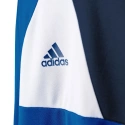 Detská brankárska mikina Assita 17 Jr AZ5404 - Adidas