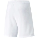 Pánske teamRISE Short M 704942 03 - Puma