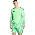 Pánsky brankársky dres adidas Tiro 26 Competition s dlhým rukávom zelený KB5249 men
