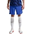 Pánske tréningové šortky Nike France Dri-Fit Adv Elite blue IB4603 480