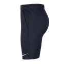 Pánske šortky Dri-FIT Park 20 M CW6152-451 - Nike