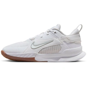 Topánky Nike Crosscourt Jr FN2231-100