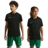 Detské tričko Nike Dri-Fit Park VIII black HV8182 010