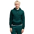 Pánska mikina Puma ESS Small No.1 Logo Hoodie, zelená, 692914 70