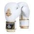 Boxerské rukavice 10oz - Spirit - Valor Series