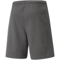 Pánske krátke nohavice TeamRise Short M 704942 13 - Puma