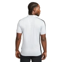 Pánske polo tričko Dri-FIT Academy M DR1346-012 - Nike