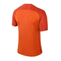 Pánske nohavice Dry Trophy III M 881483-815 - Nike