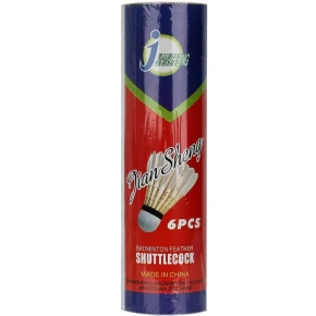 Badmintonový raketoplán 6 ks Techman BS203