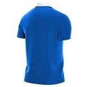 Pánske polo tričko Park 20 M CW6933 463 - Nike