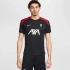 Tričko Nike Liverpool FC Strike SS Top M FN9838-013