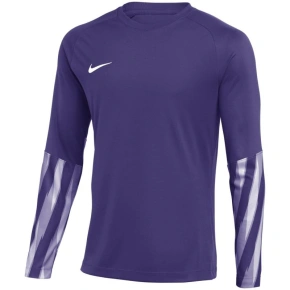 Pánske tričko Nike Dri-Fit Park V Stadium Purple HV8314 507