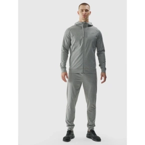 Pánske rýchloschnúce tréningové nohavice 4F 4FWAW24TFTRM681-25M