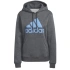Dámske topánky Big Logo FL R HD W IC9845 - Adidas