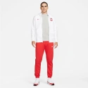 Pánska mikina Poland Hoody M DH4961 100 - Nike