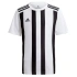 Pánske pruhované tričko 21 JSY M GV1377 - Adidas