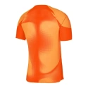 Pánske brankárske tričko Dri-FIT ADV Gardien 4 M DH7760-819 - Nike