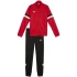 Tepláková súprava Puma Team Rise Jr 658655 01 kids