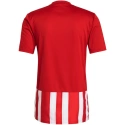Pánske pruhované futbalové tričko 21 M GN7624 - Adidas