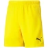 Detské krátke nohavice TeamRise Jr 704943 07 - Puma