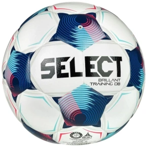 Vybrať Brillant Training DB v25 FIFA Basic Ball 120075 White 3