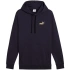 Puma Ess 2 Color Small No.1 Logo Hoodie TR M 684719 16 Muži