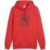 Puma Ess Logo Lab Hoodie FL M 684669 15 muži