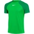 Pánske tričko DF Adacemy Pro SS KM DH9225 329 - Nike