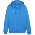 Puma Team Goal Casuals Hooded M 658595 02