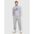Pánske tepláky typu jogger 4F 4FRAW25TTROM1832-27M