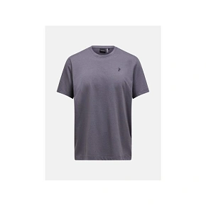Pánske tričko PEAK PERFORMANCE M Explore Graphic Tee, sivé