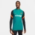 Pánske Chelsea FC Elite M DB6876 472 - Nike