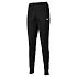 Dámske nohavice Mizuno Core TR Pant W 32EDA75009
