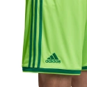 Pánske krátke nohavice Regista 18 M CF9598 - Adidas