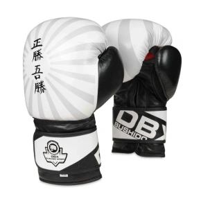 Boxerské rukavice 10oz - Japonsko - Valor Series