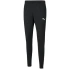 Pánska tréningová obuv teamRISE Poly M 657390 03 - Puma