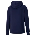 Pánske tenisky TeamGoal 23 Casuals M 656580 06 - Puma