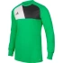 Pánsky brankársky dres Assita 17 M AZ5400 - Adidas