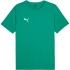 Puma teamRISE Matchday Jersey M 706132 05 muži