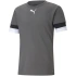 Pánske teamRISE Smoked M 704932 13 - Puma