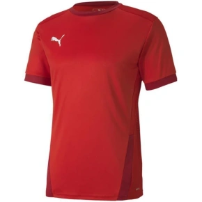 Puma teamGOAL 23 Jersey M 704171 01 pánske dresy
